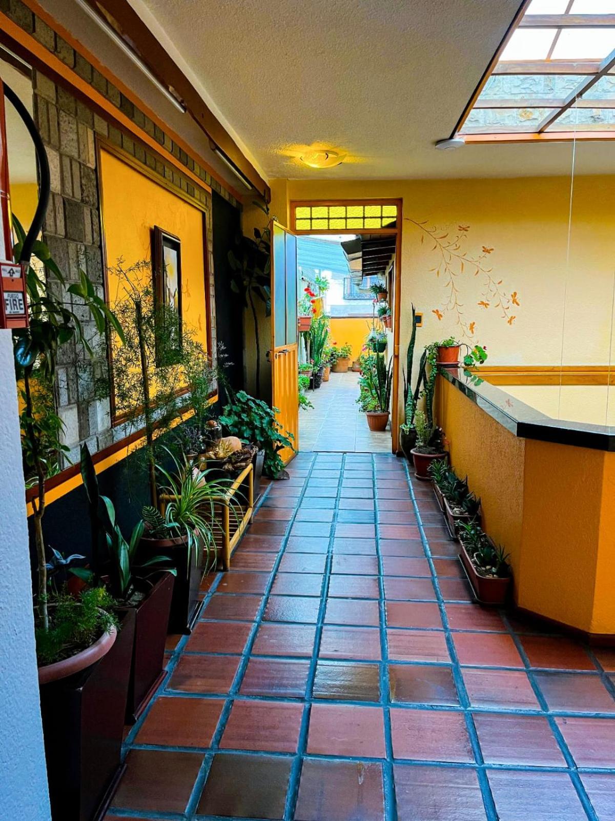 Hotel Rodelu لاتاكونغا المظهر الخارجي الصورة